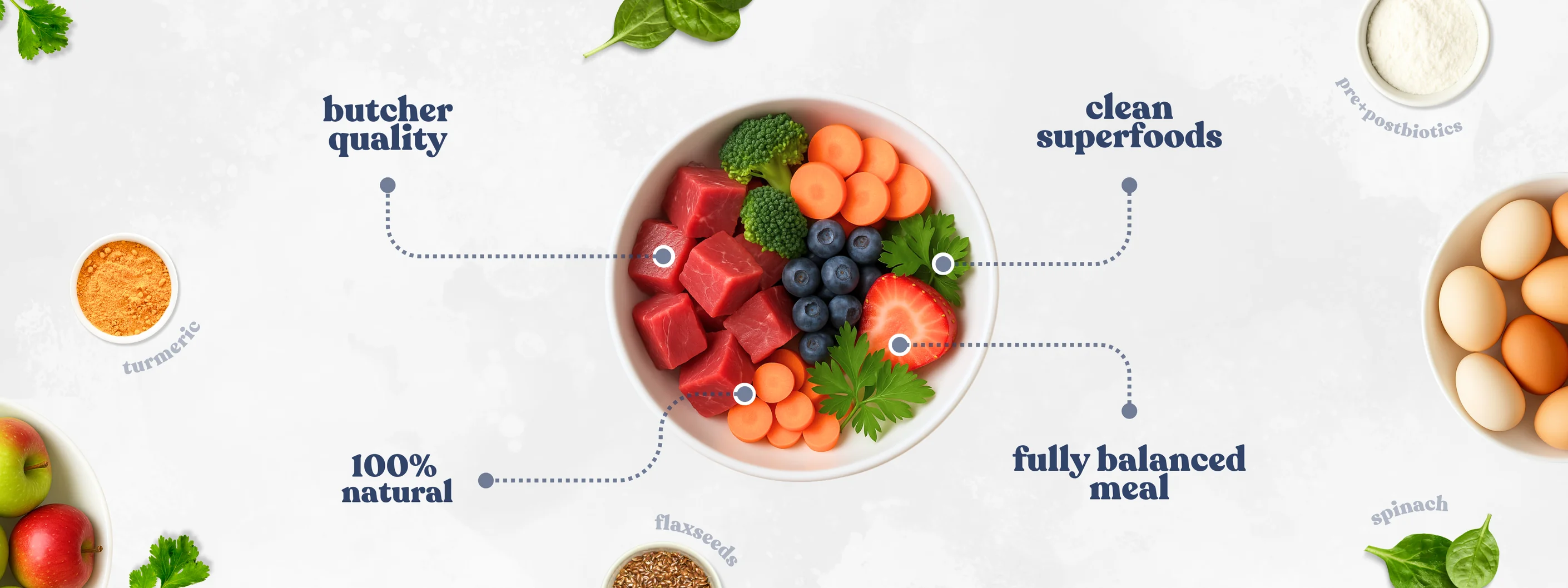 Superfoods for Longer Dog Lives